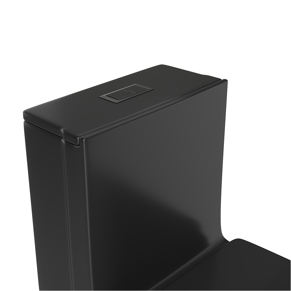 Black Dual-Flush Elongated One-Piece Toilet (Seat Included)