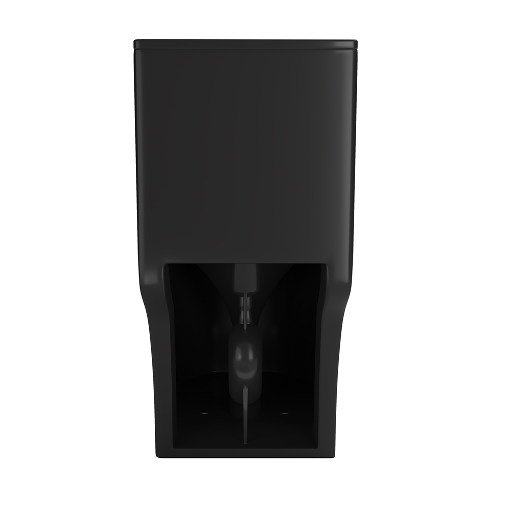 Black Dual-Flush Elongated One-Piece Toilet (Seat Included)