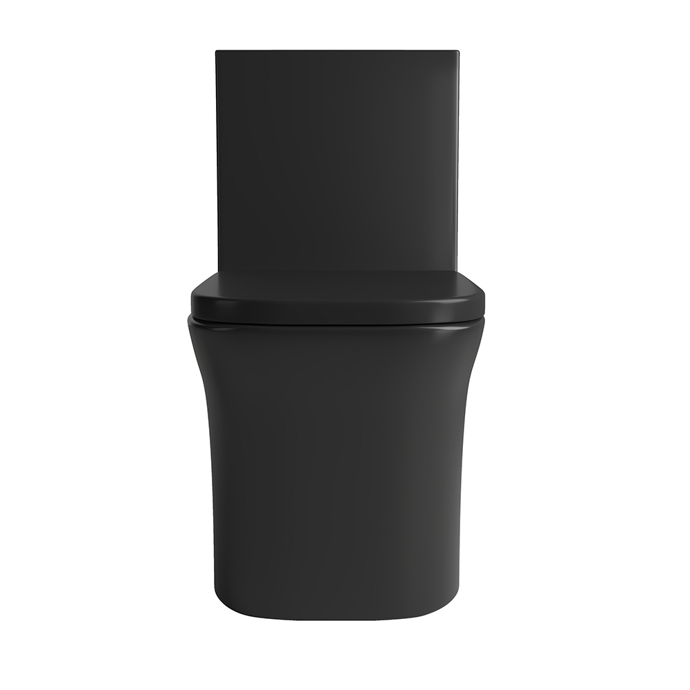 Black Dual-Flush Elongated One-Piece Toilet (Seat Included)