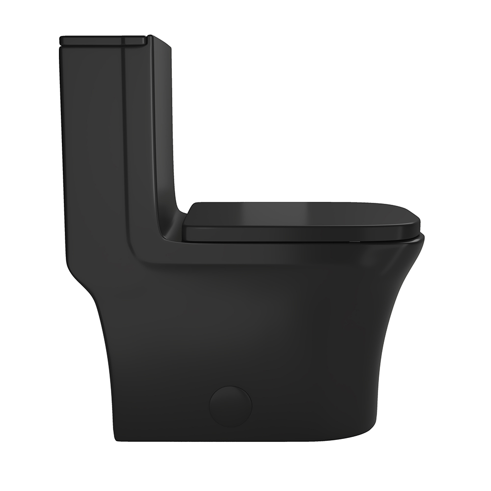 Black Dual-Flush Elongated One-Piece Toilet (Seat Included)