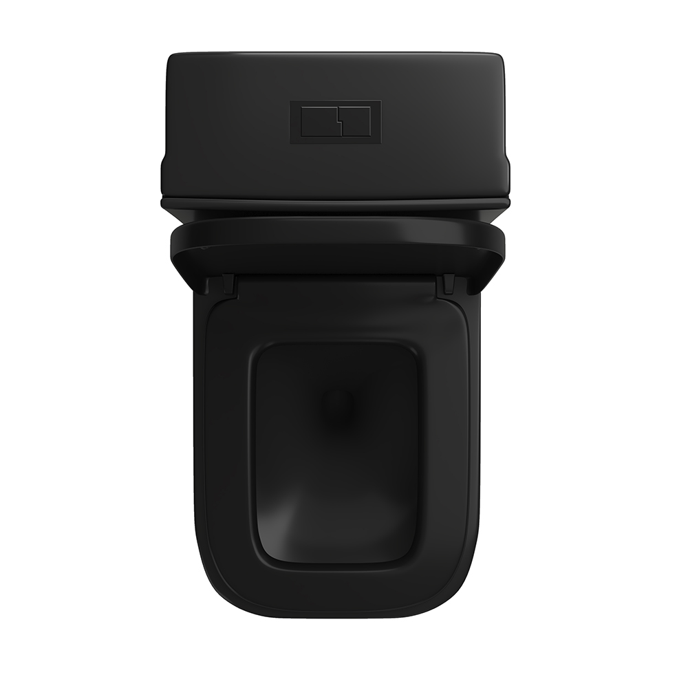 Black Dual-Flush Elongated One-Piece Toilet (Seat Included)
