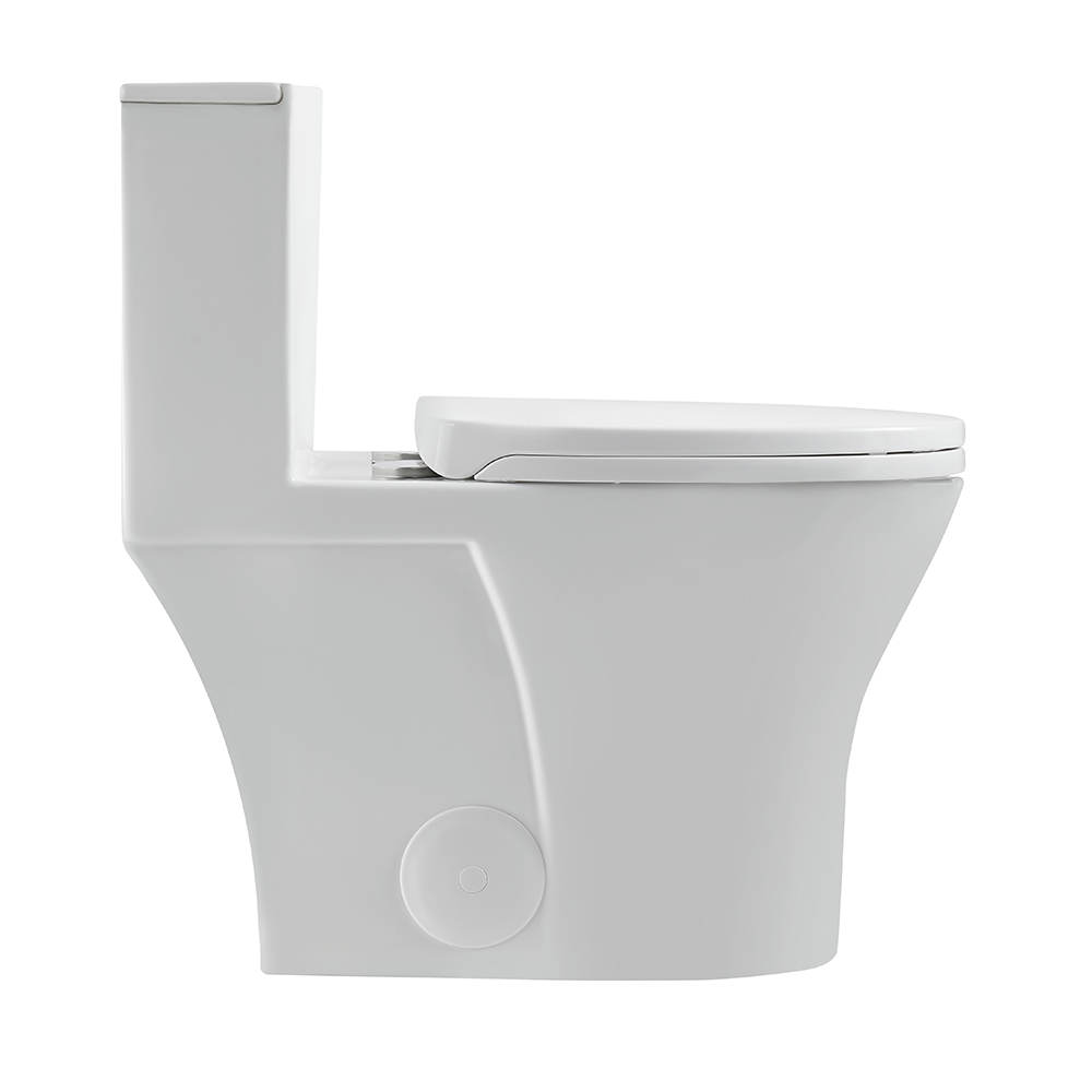 12 Inch Rough In Modern Floor Mounted  One Piece Toilet