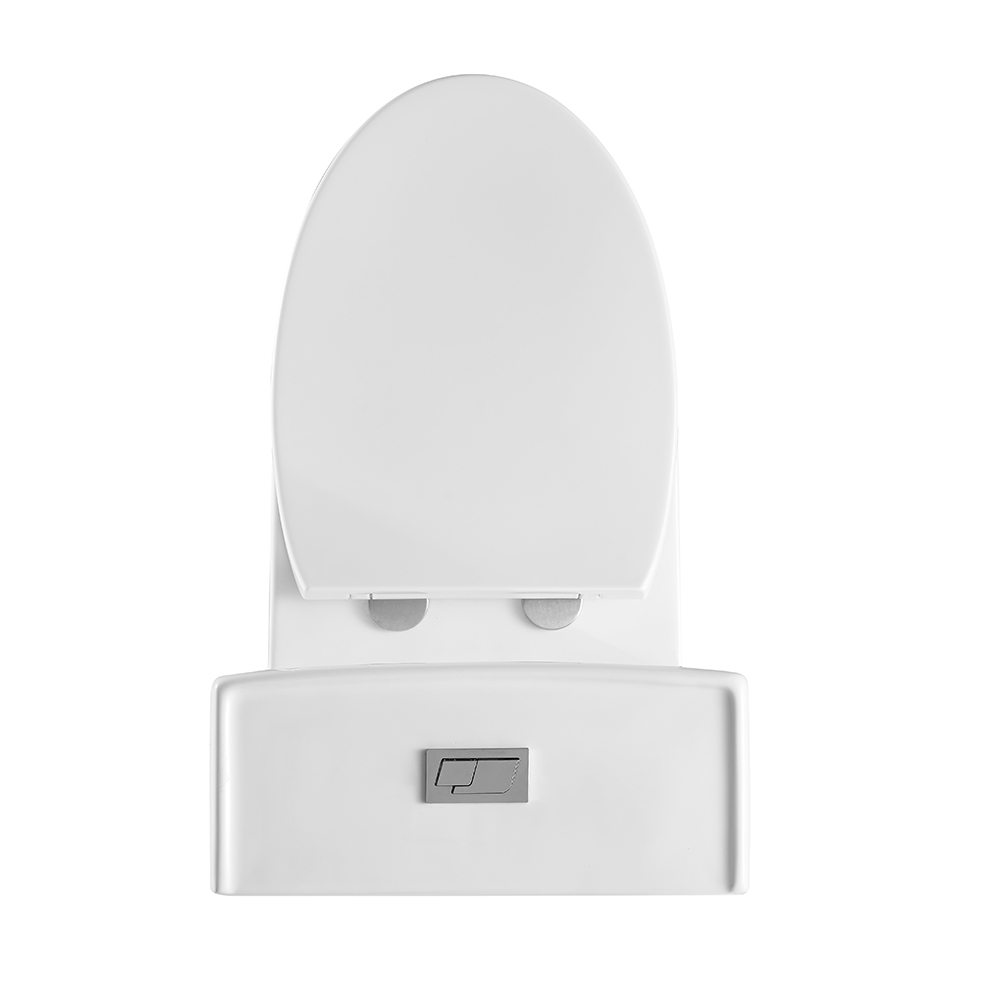 Classic Floor Mounted One Piece Toilet