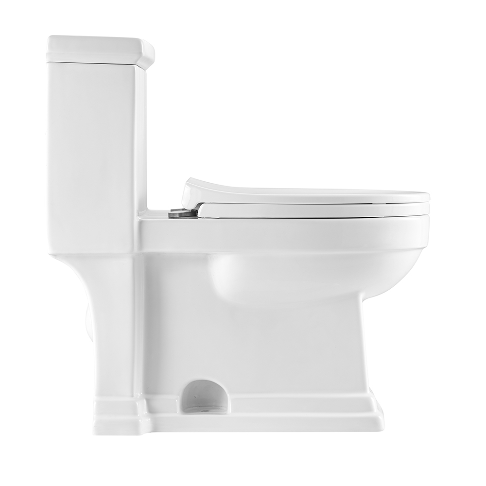 Classic Floor Mounted One Piece Toilet
