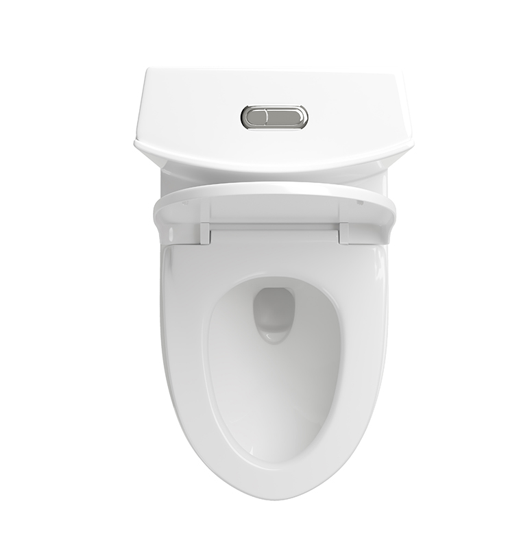BOTHWA  1.1/1.6 GPF Elongated Comfort Height Floor Mounted One-Piece Toilet  Model T007-WD