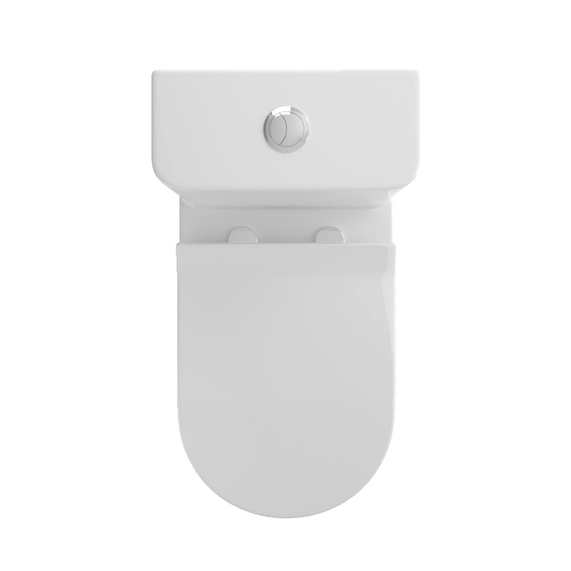 Dual Flush Toilet 12 Inch Rough In Toilet