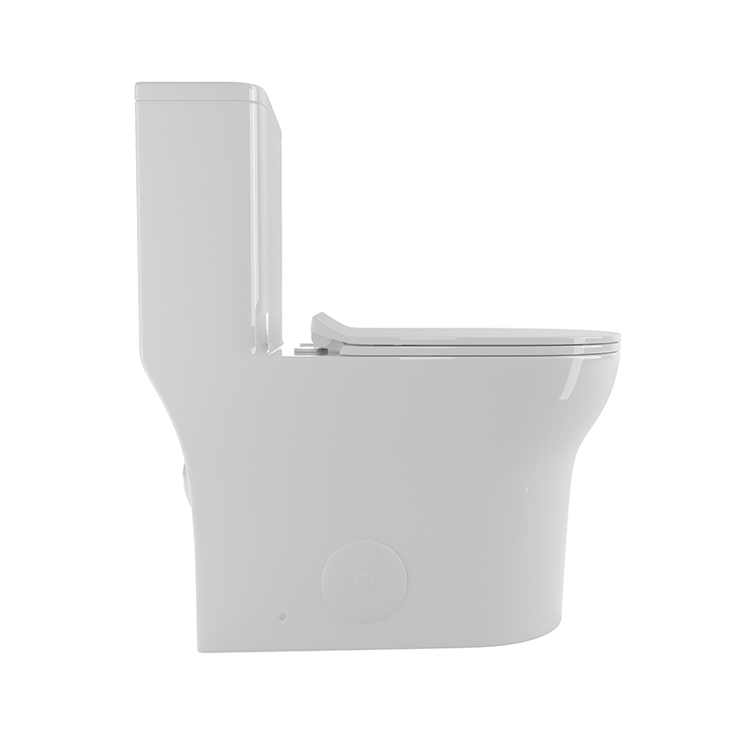 Dual Flush Toilet 12 Inch Rough In Toilet