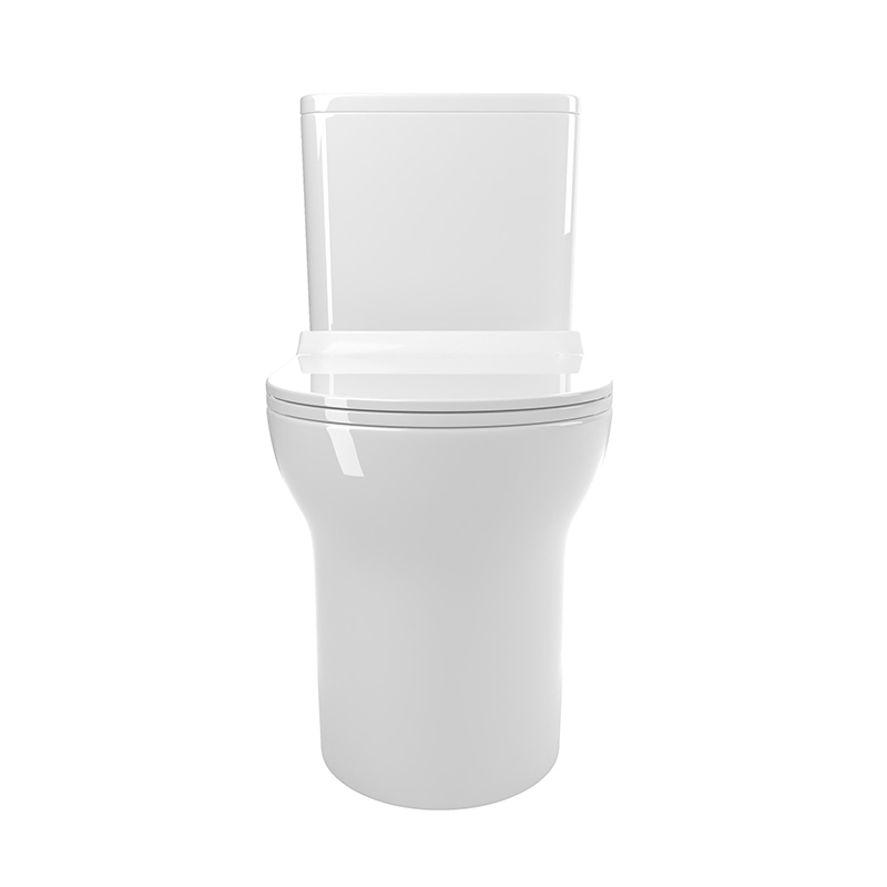 Dual Flush Toilet 12 Inch Rough In Toilet