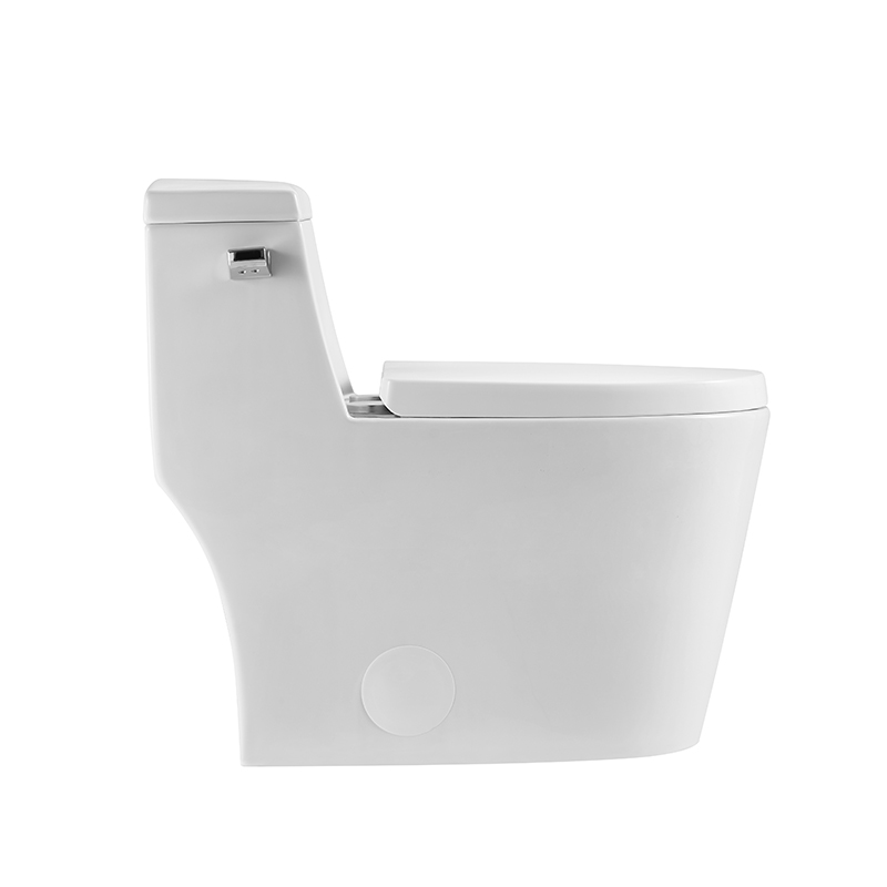 12 Inch Modern Floor Mounted Toilet Toilet Design Model