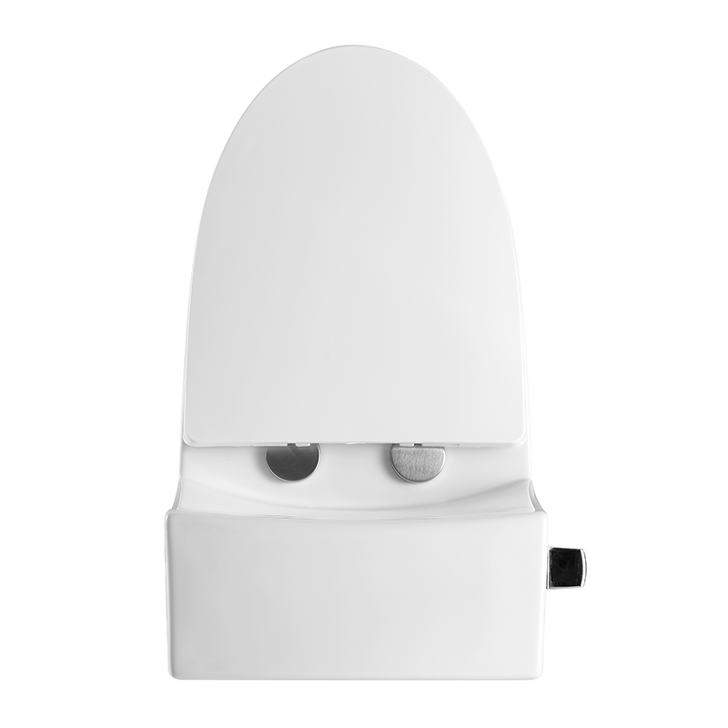 12 Inch Modern Floor Mounted Toilet Toilet Design Model