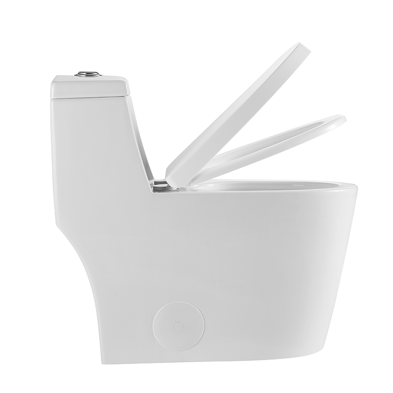 12 Inch Modern Floor Mounted Toilet Toilet Design Model