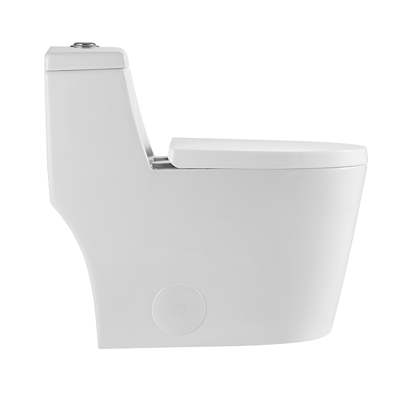 12 Inch Modern Floor Mounted Toilet Toilet Design Model