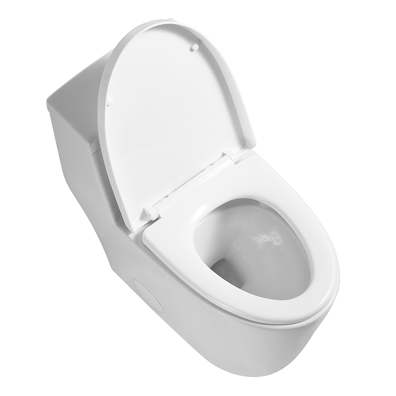 12 Inch Modern Floor Mounted Toilet Toilet Design Model