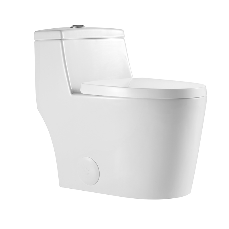 12 Inch Modern Floor Mounted Toilet Toilet Design Model