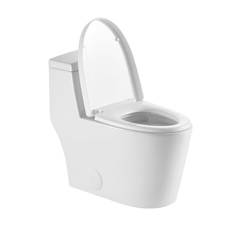 12 Inch Modern Floor Mounted Toilet Toilet Design Model
