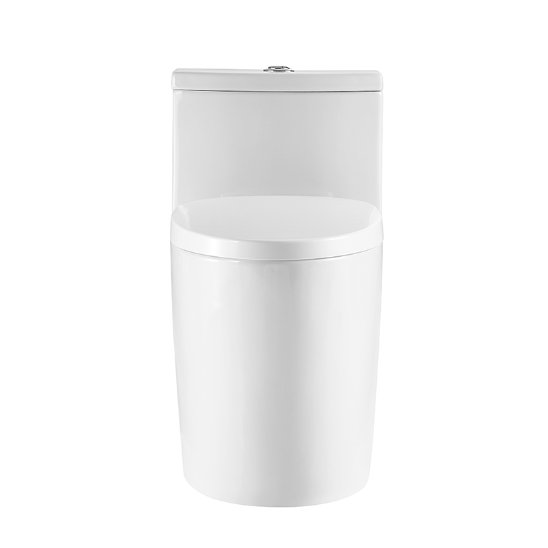 Dual Flush Toilet Elongate Comfor Height Floor Mounted One Piece Toilet