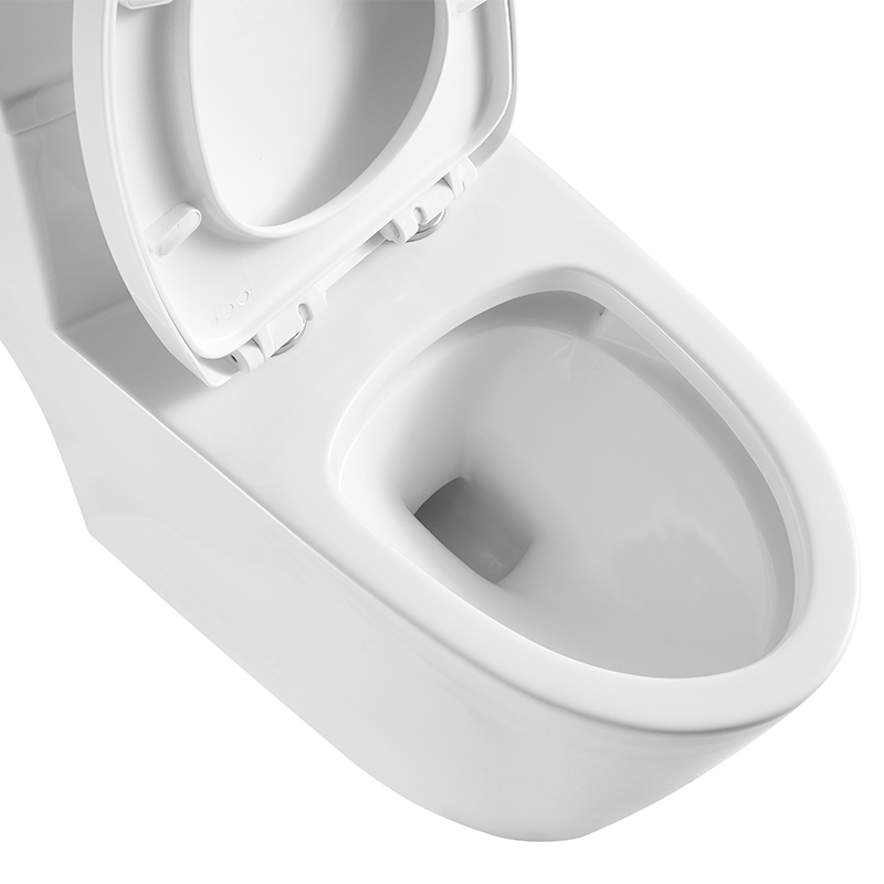 Dual Flush Toilet Elongate Comfor Height Floor Mounted One Piece Toilet