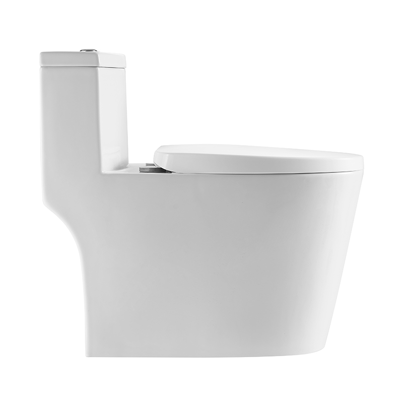 Dual Flush Toilet Elongate Comfor Height Floor Mounted One Piece Toilet