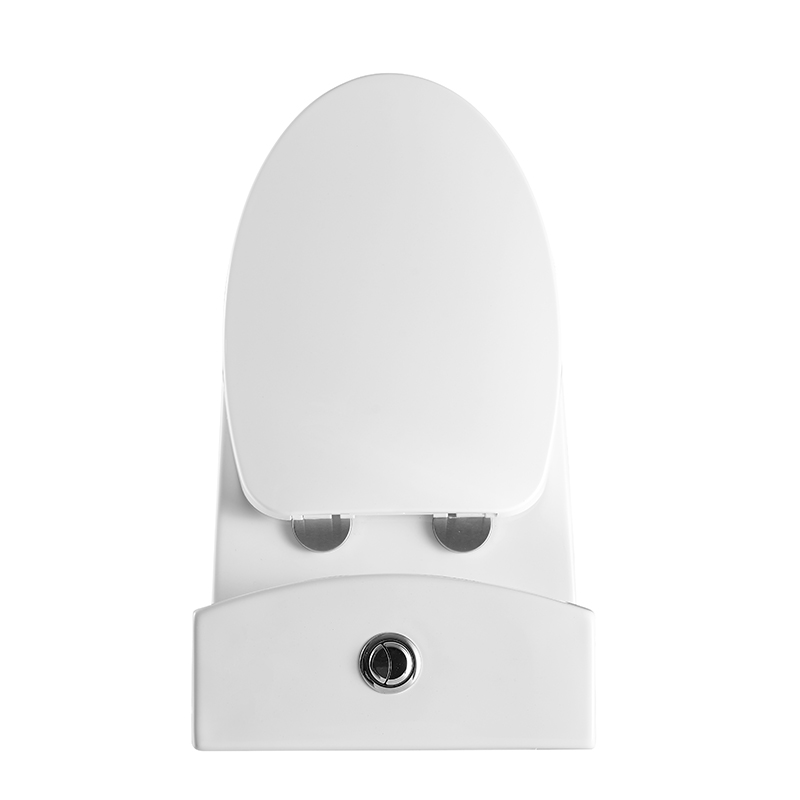 Dual Flush Toilet Elongate Comfor Height Floor Mounted One Piece Toilet