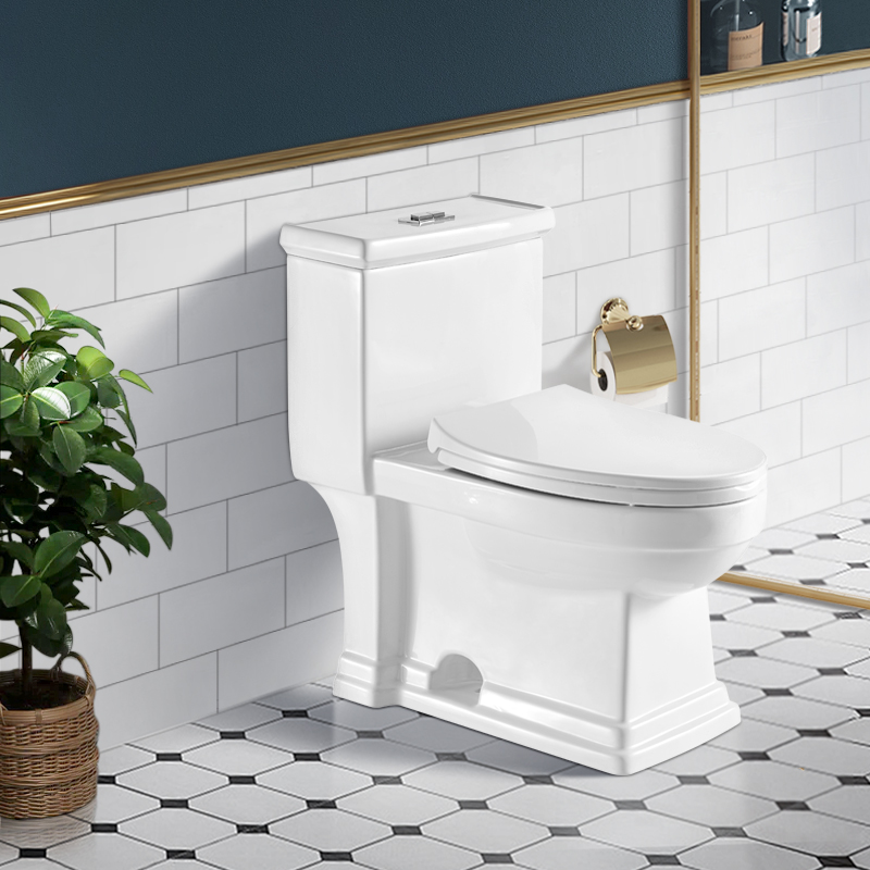 Classic Floor Mounted One Piece Toilet