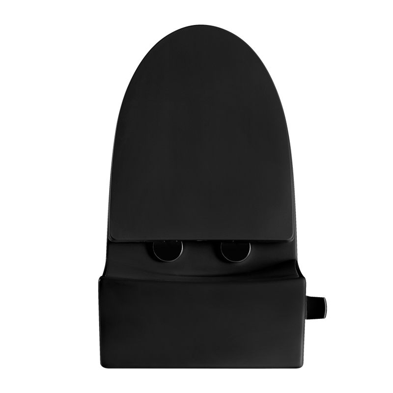 Matt Black 12 Inch Modern Floor Mounted Toilet Toilet Design Model