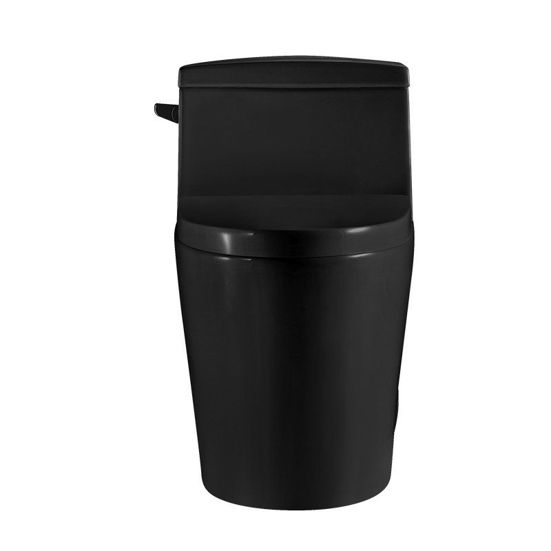 Matt Black 12 Inch Modern Floor Mounted Toilet Toilet Design Model