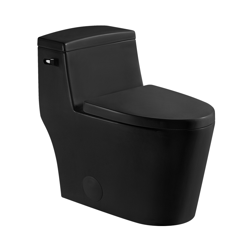 Matt Black 12 Inch Modern Floor Mounted Toilet Toilet Design Model