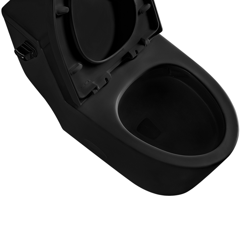 Matt Black 12 Inch Modern Floor Mounted Toilet Toilet Design Model