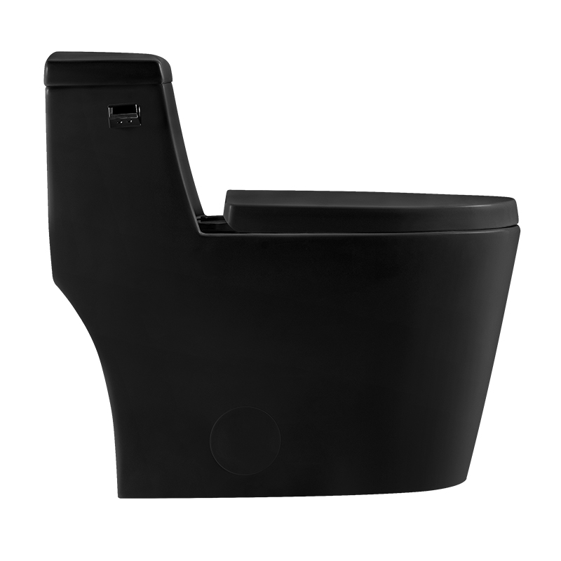 Matt Black 12 Inch Modern Floor Mounted Toilet Toilet Design Model