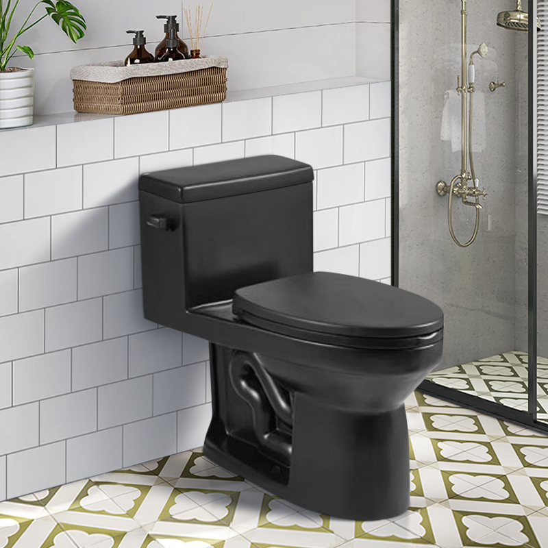 12 Inch Modern Floor Mounted Toilet Toilet Design Model T033-BKJ