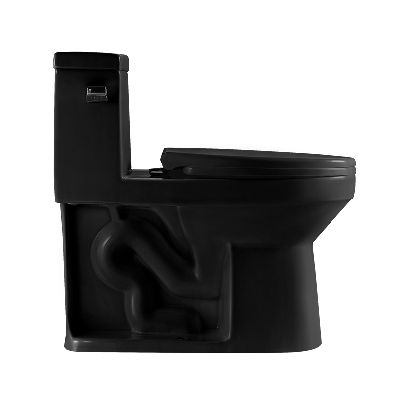 12 Inch Modern Floor Mounted Toilet Toilet Design Model T033-BKJ
