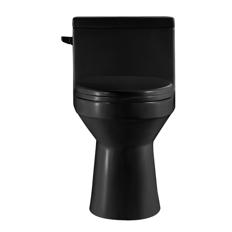 12 Inch Modern Floor Mounted Toilet Toilet Design Model T033-BKJ