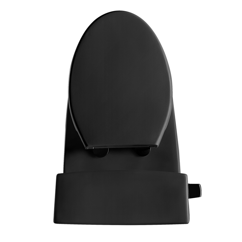 12 Inch Modern Floor Mounted Toilet Toilet Design Model T033-BKJ
