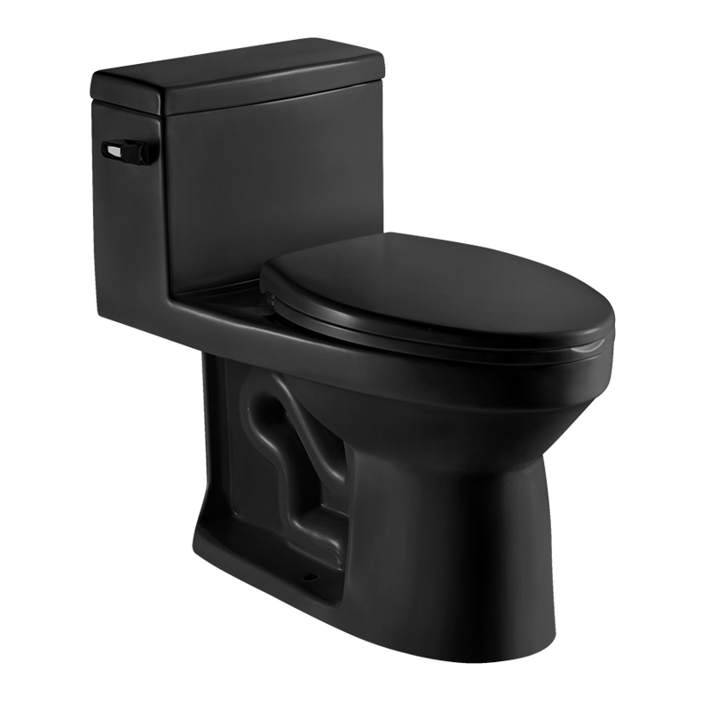 12 Inch Modern Floor Mounted Toilet Toilet Design Model T033-BKJ